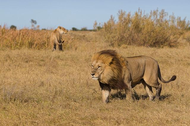 037 Botswana, Okavango Delta.jpg